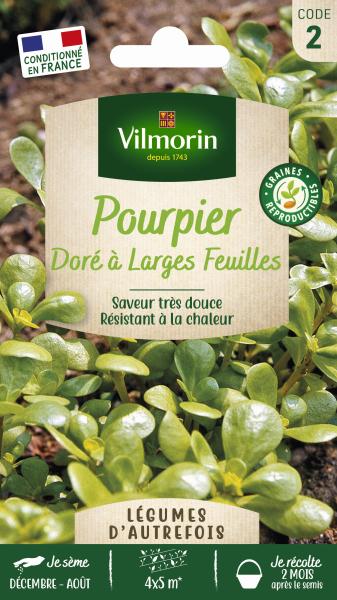 Potagères - Pourpier Doré à larges feuilles - Légumes d'Autrefois - PACKAGING_RECTO